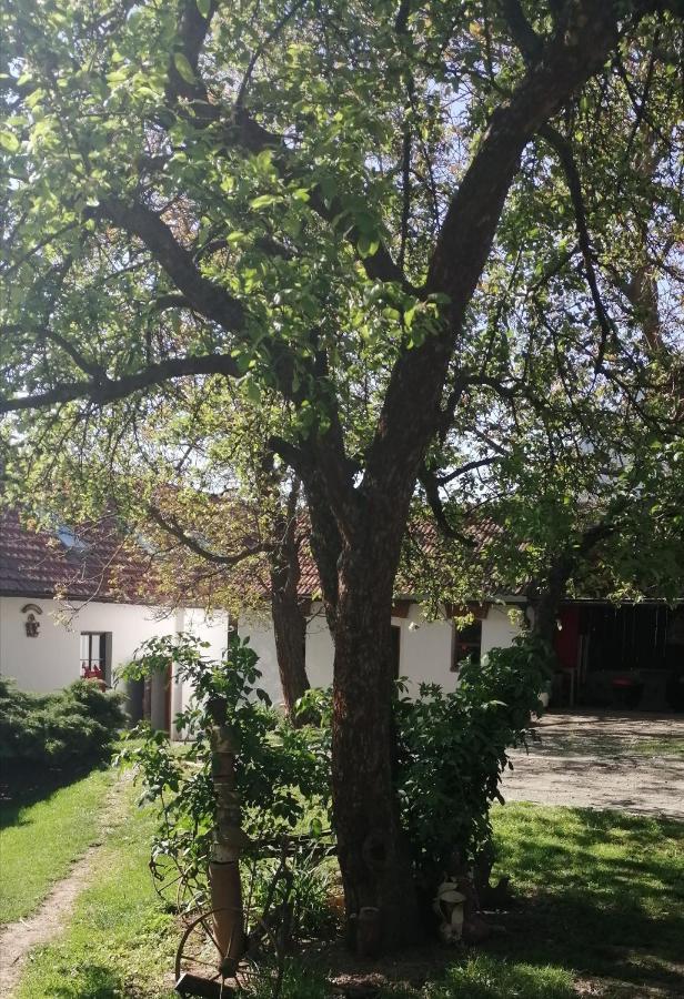 Keramicky A Vytvarny Atelier Konesin Exteriör bild
